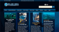 Desktop Screenshot of blueseaadventures.com